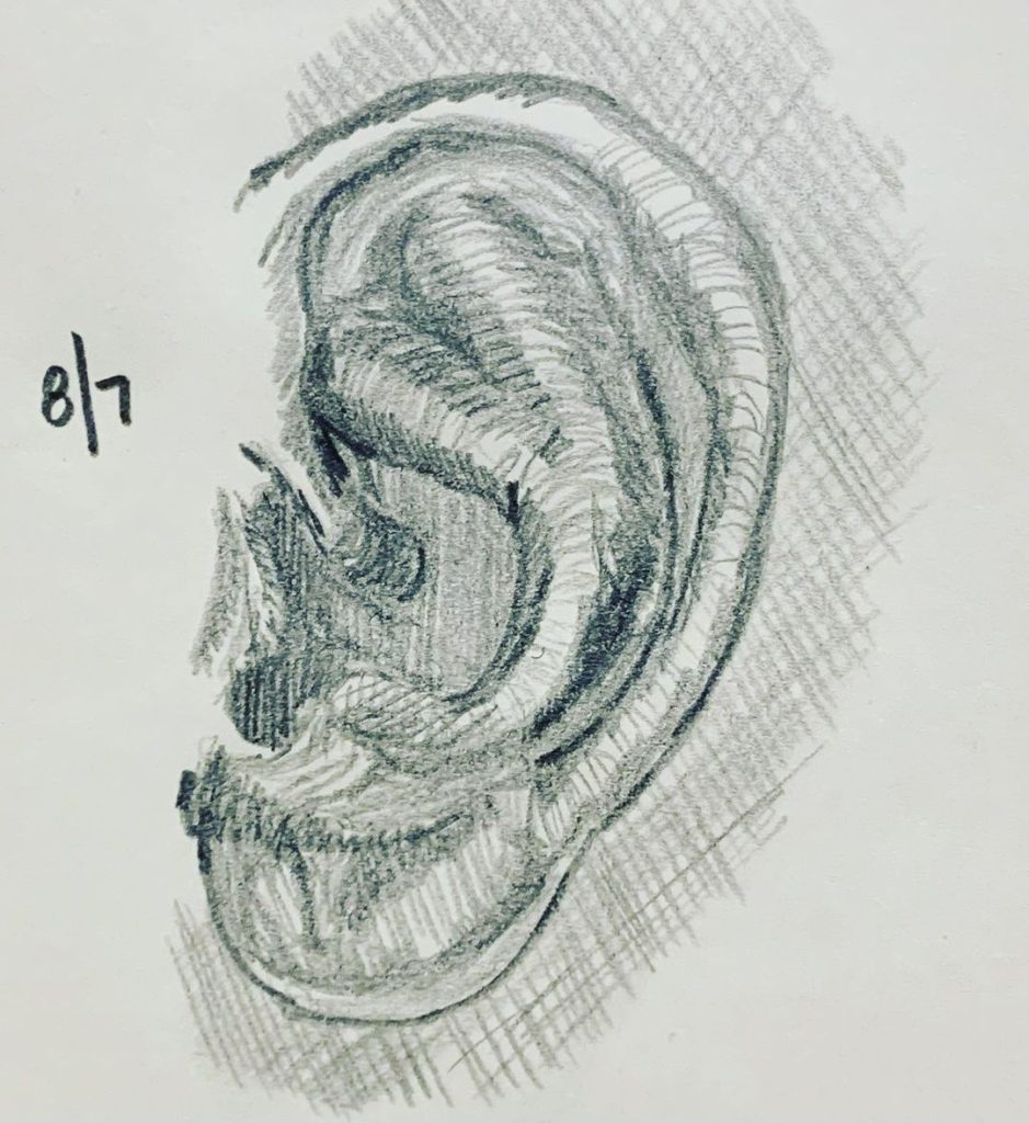 Read more about the article Day 341. Can you ear me now?