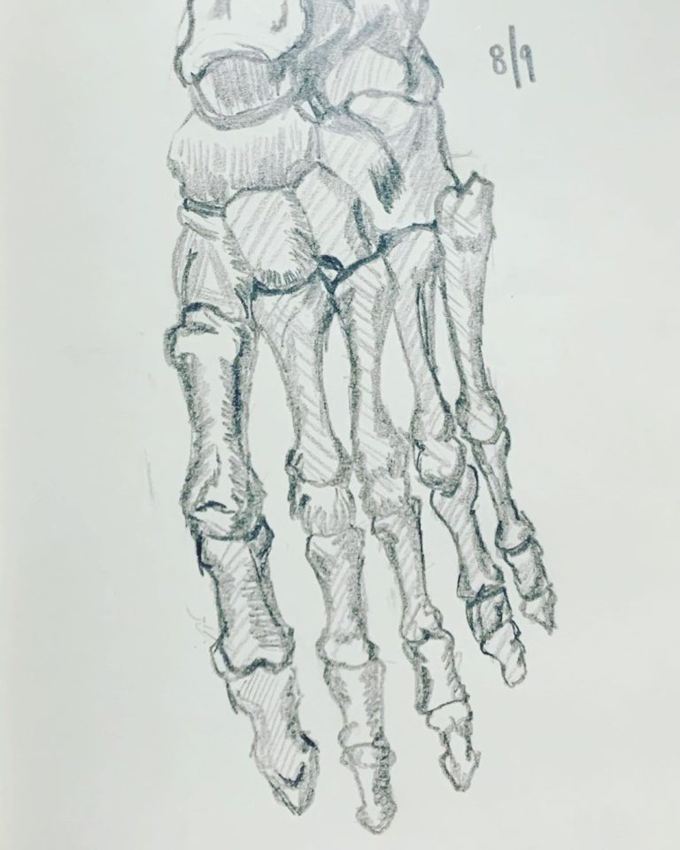 Read more about the article Day 343.