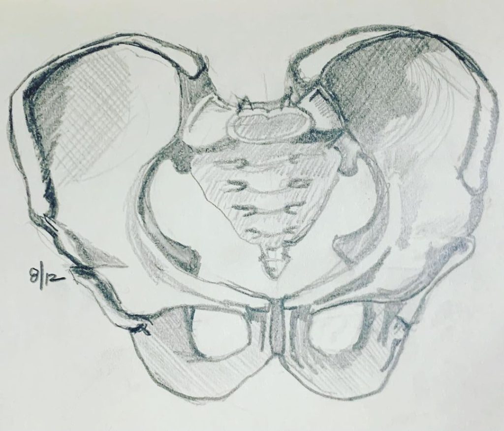 Read more about the article Day 346. Pelvis has left the building.