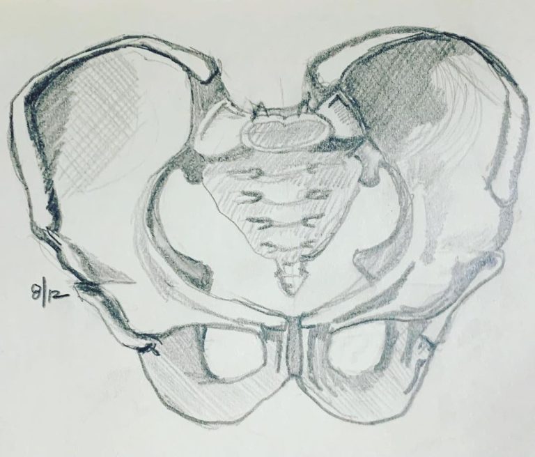 Read more about the article Day 346. Pelvis has left the building.