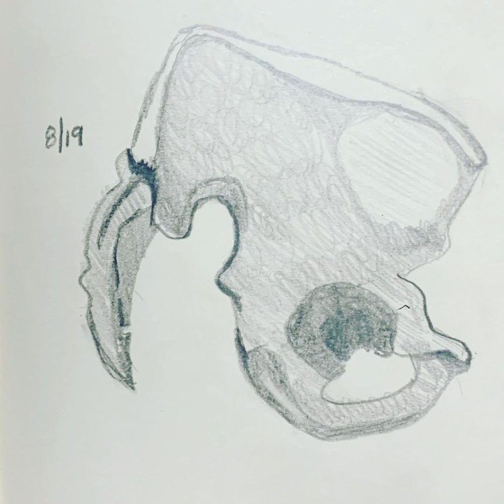 Read more about the article Day 353.