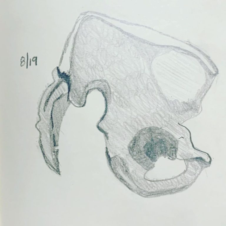 Read more about the article Day 353.