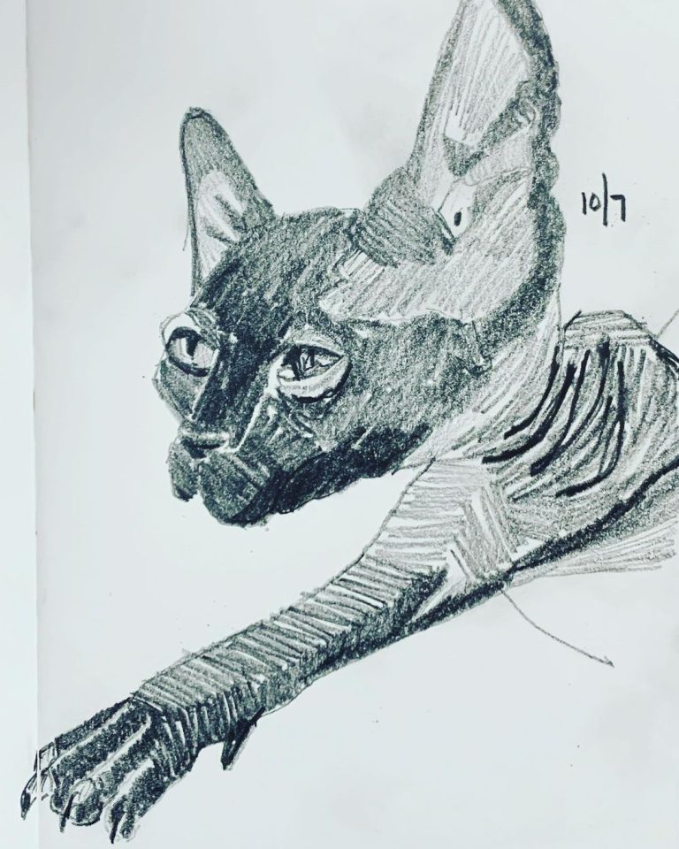 Read more about the article Day 402. 10th Doctor & Rose, â€œThe Cat Came Backâ€ â€“ Black Cat