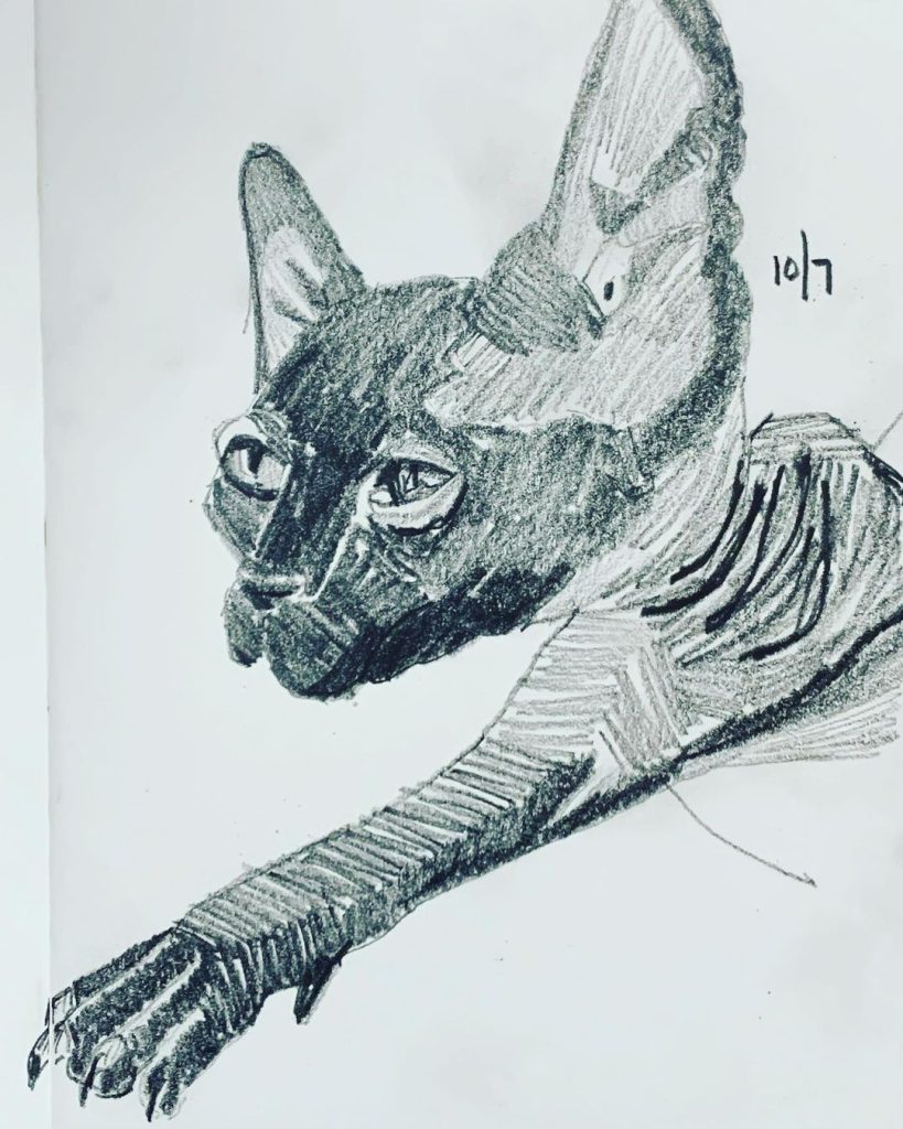 Read more about the article Day 402. 10th Doctor & Rose, â€œThe Cat Came Backâ€ â€“ Black Cat