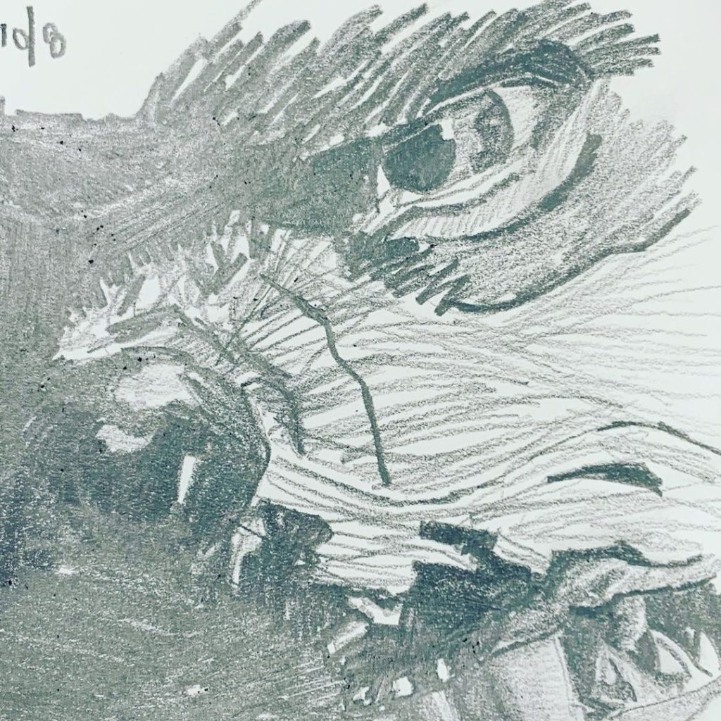 Read more about the article Day 403. â€œTooth & Clawâ€, 10th Doctor, series 2. Werewolf.