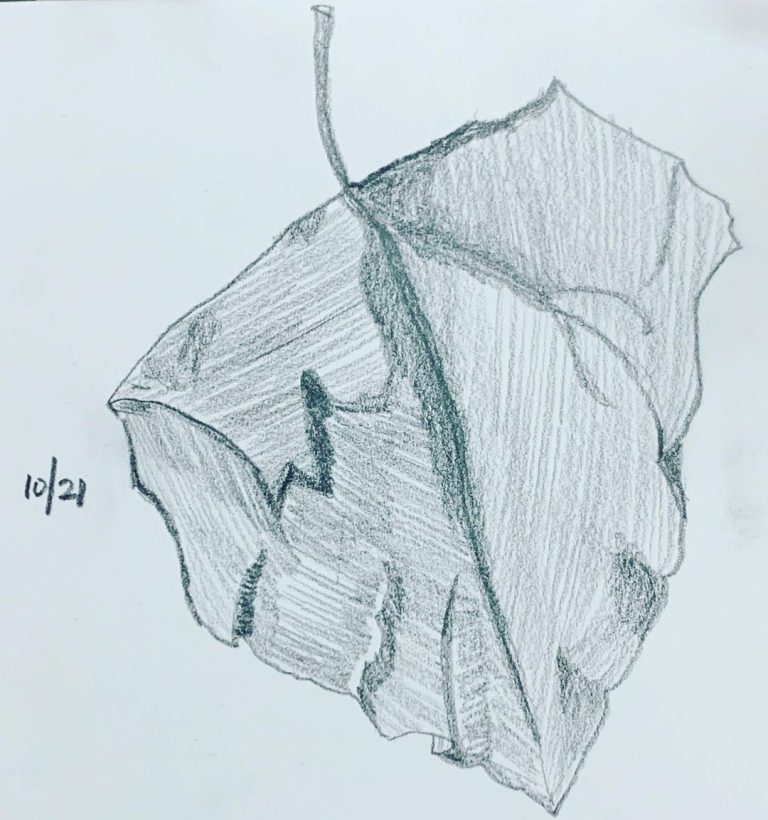 Read more about the article Day 416. Autumn Leaves. Doctor Who â€œThe Rings of Akhatenâ€.