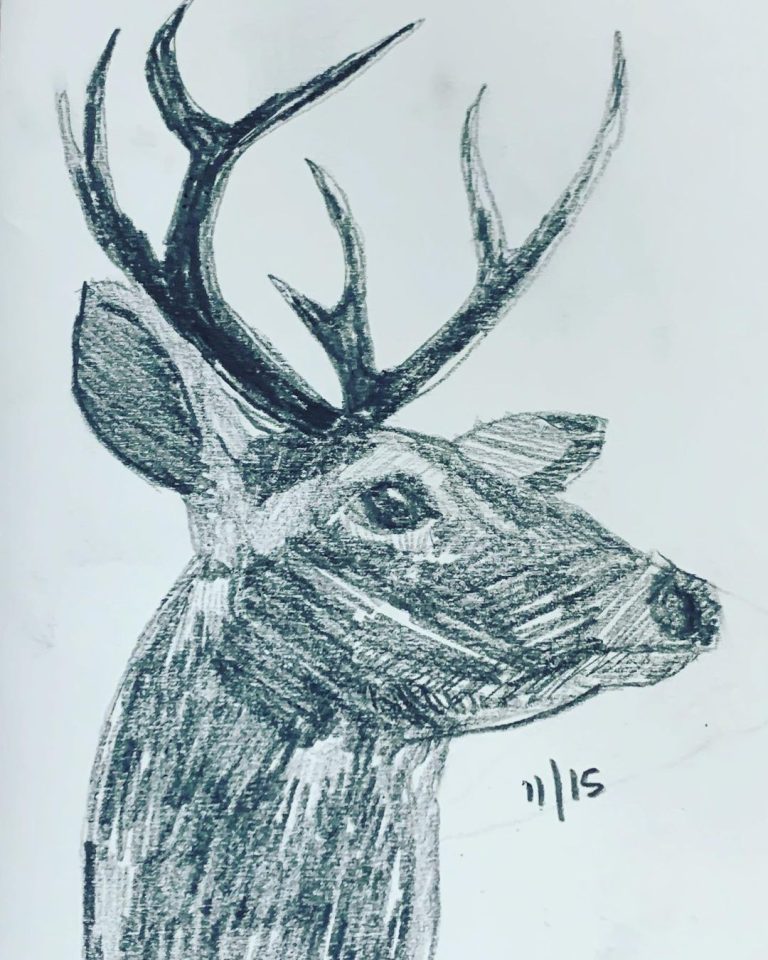 Read more about the article Day 441.