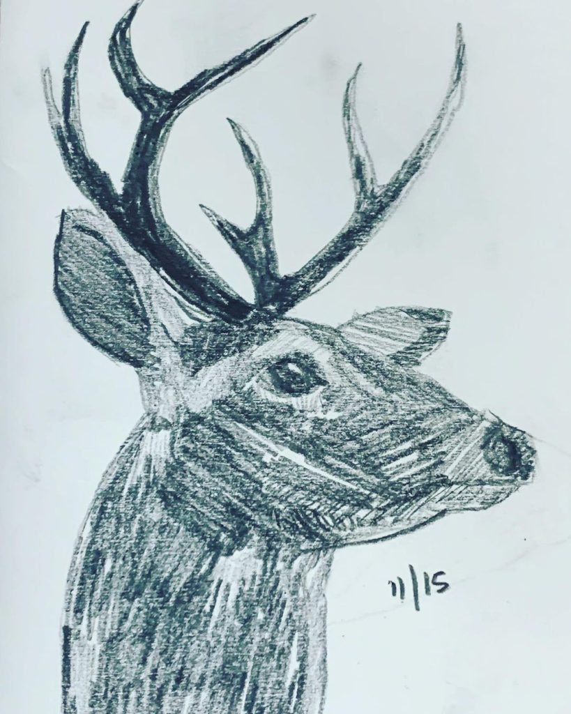 Read more about the article Day 441.