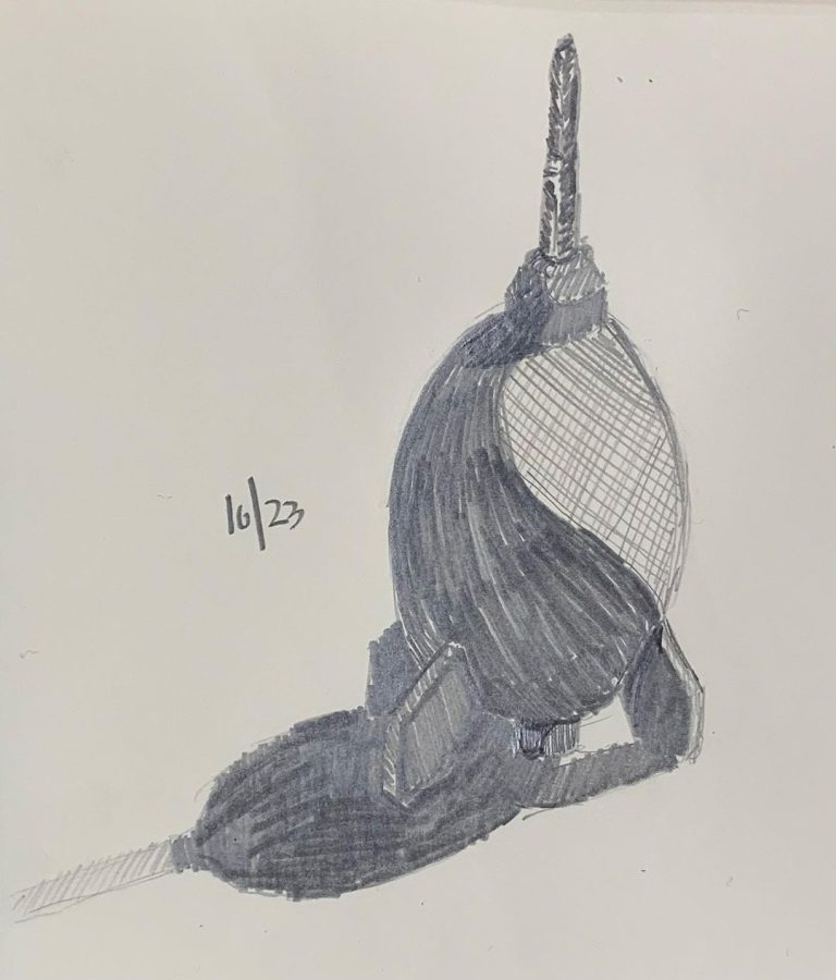 Read more about the article Day 53.