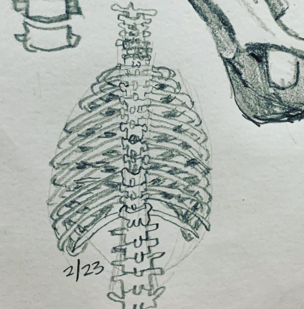 Read more about the article Day 541.