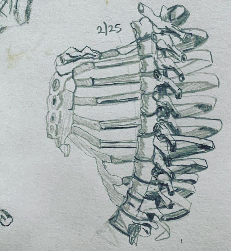 Read more about the article Day 543.