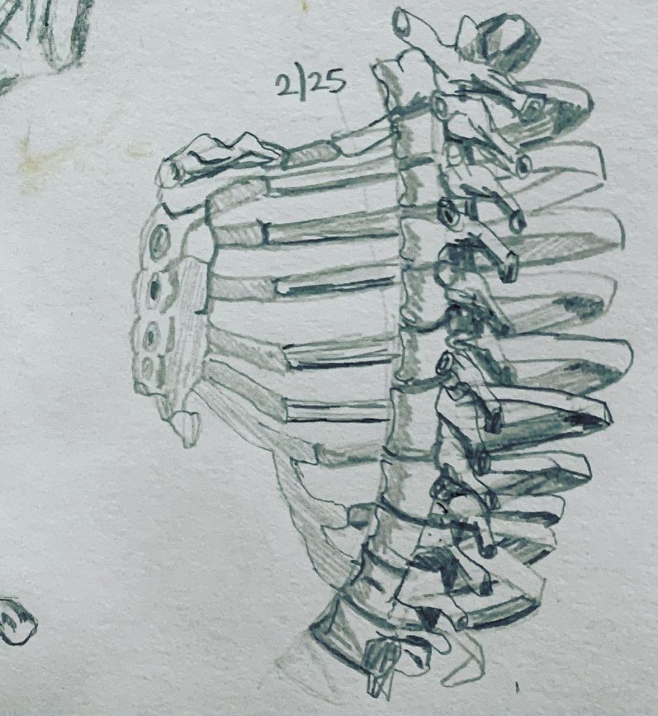 Read more about the article Day 543.