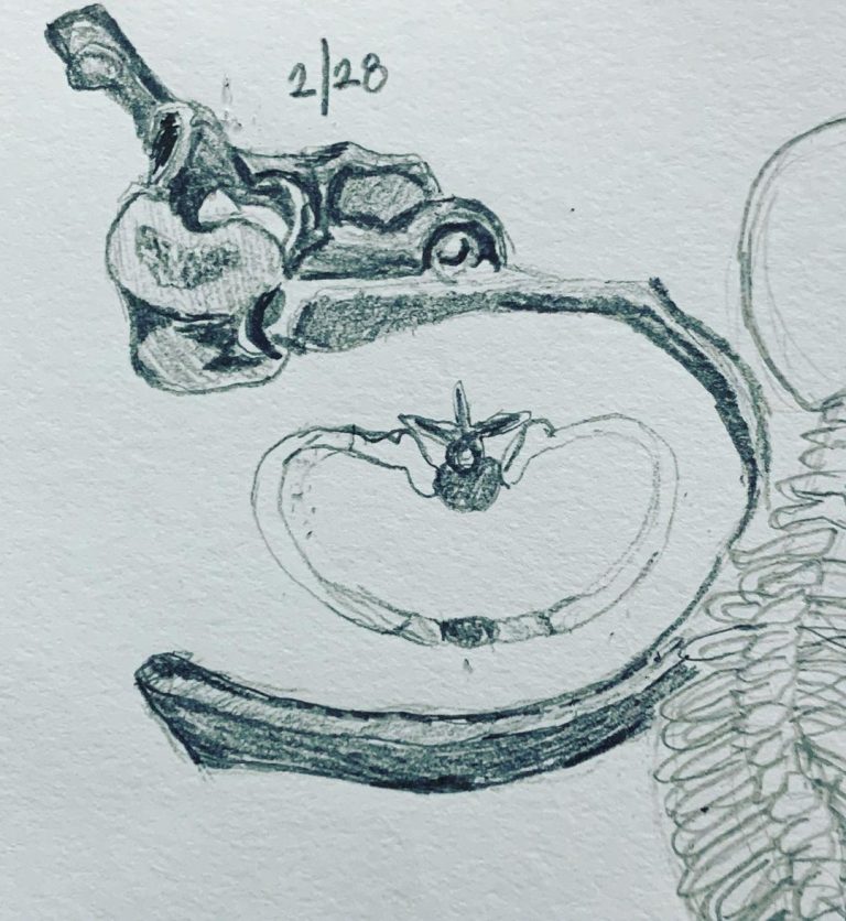 Read more about the article Day 546.