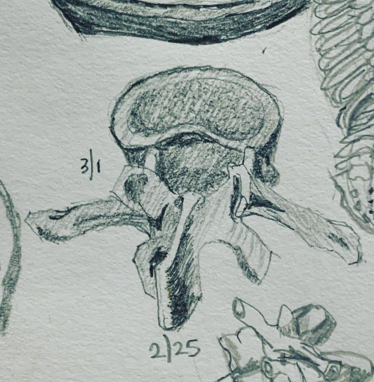 Read more about the article Day 547.