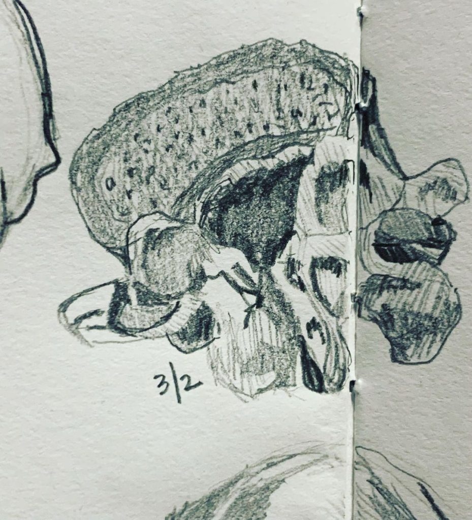 Read more about the article Day 548. L4 from a model.