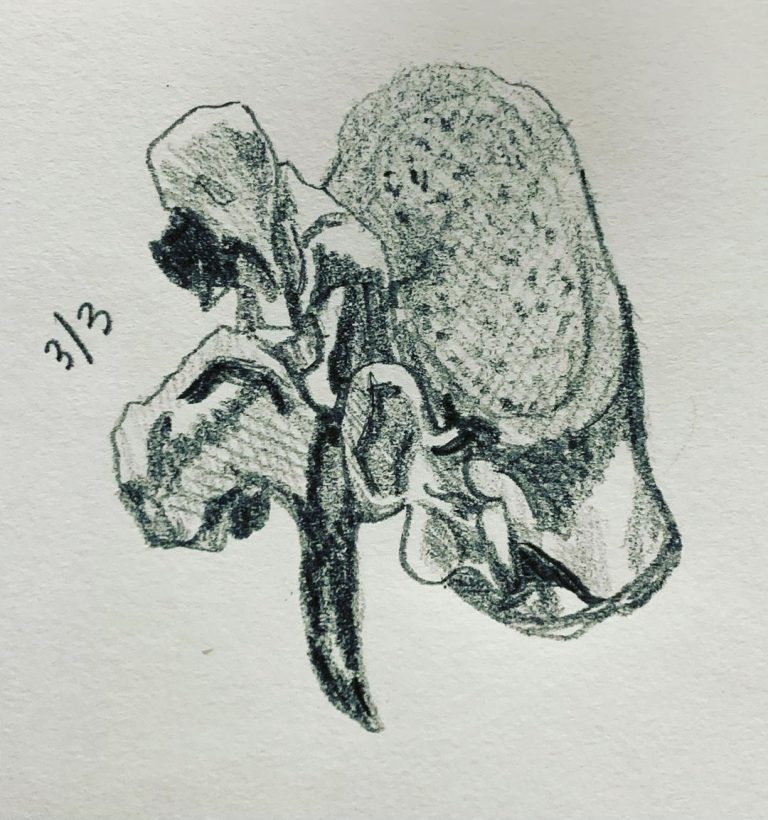 Read more about the article Day 549. L4 again.