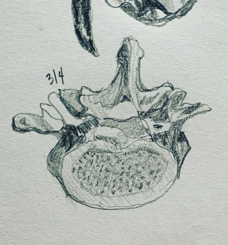 Read more about the article Day 550. L4 again.