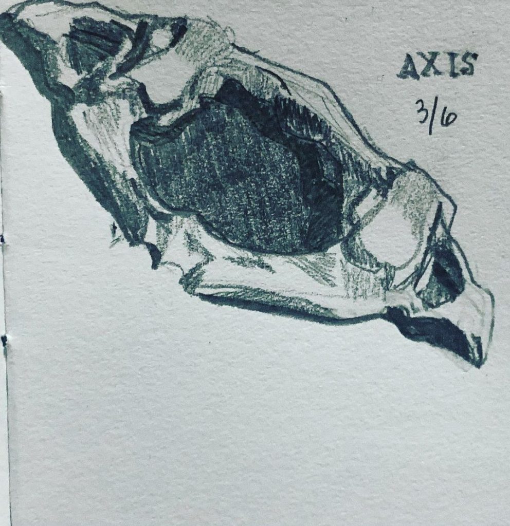 Read more about the article Day 552. Axis.