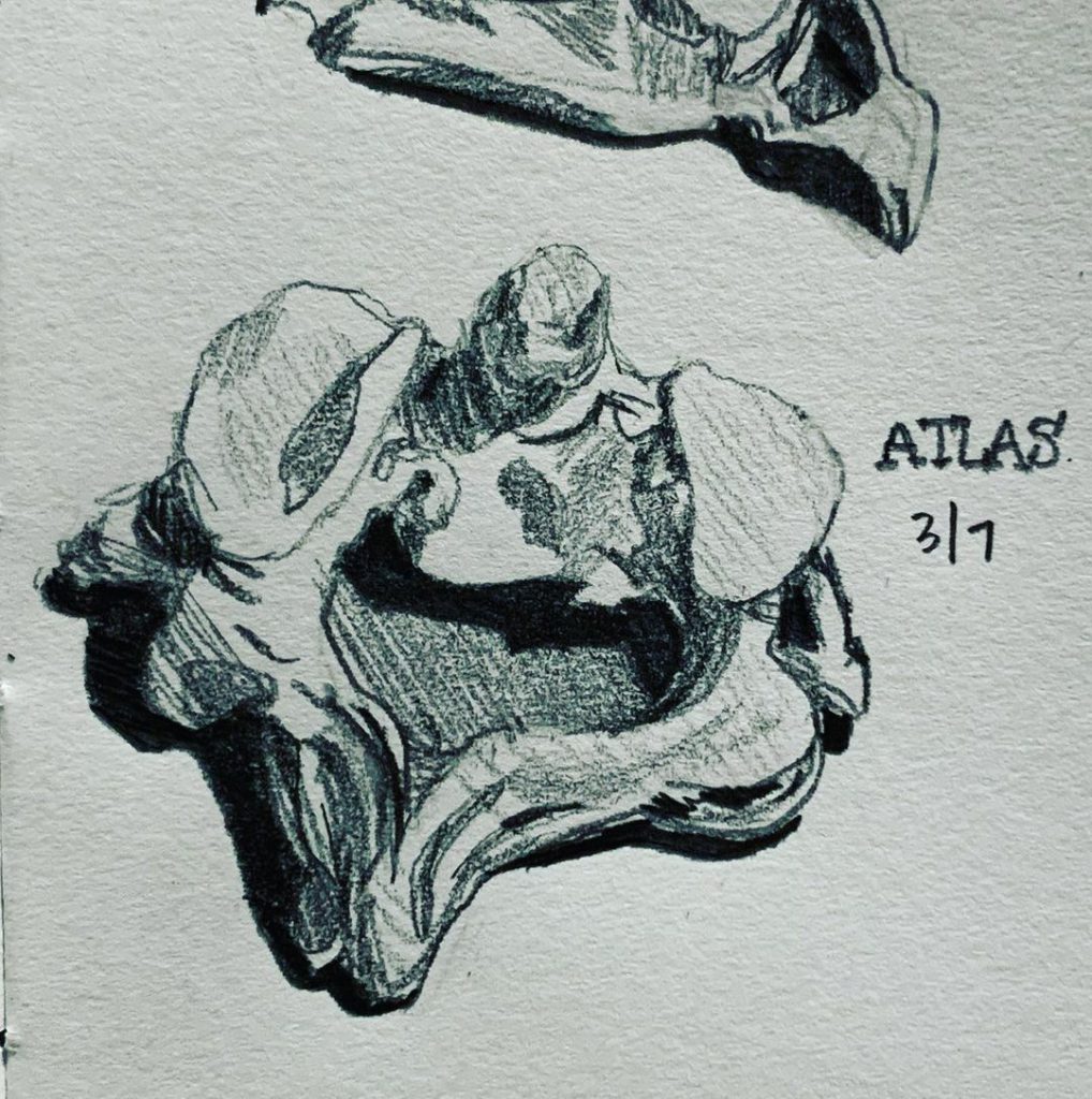 Read more about the article Day 553. Atlas. /shrugged.