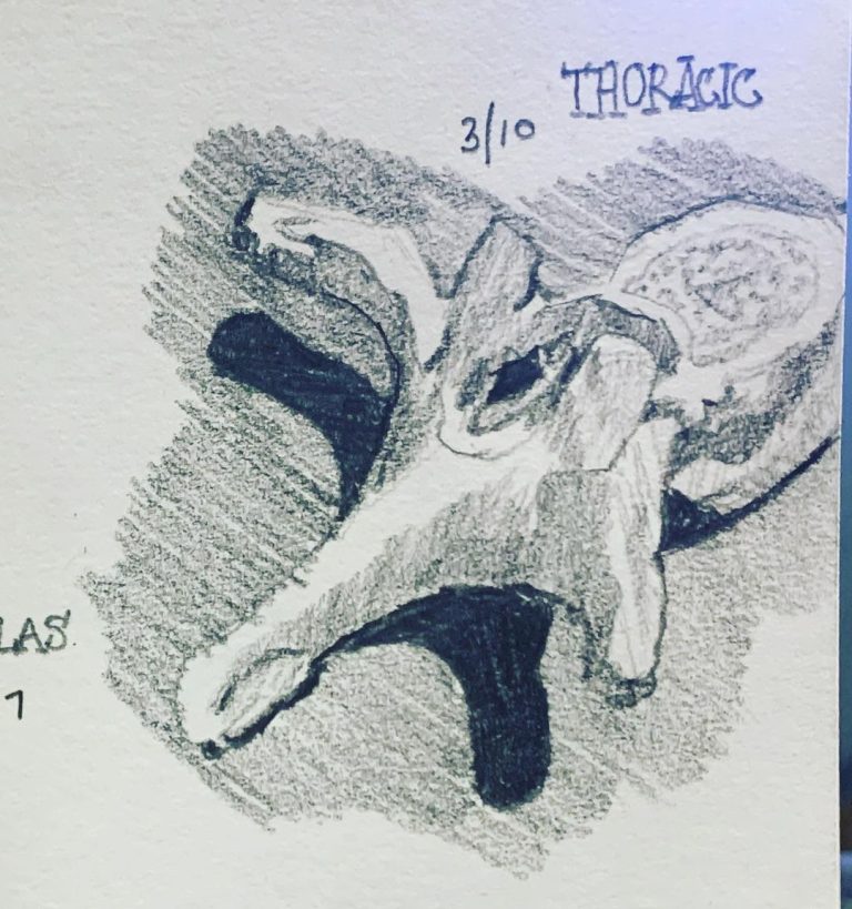 Read more about the article Day 556.