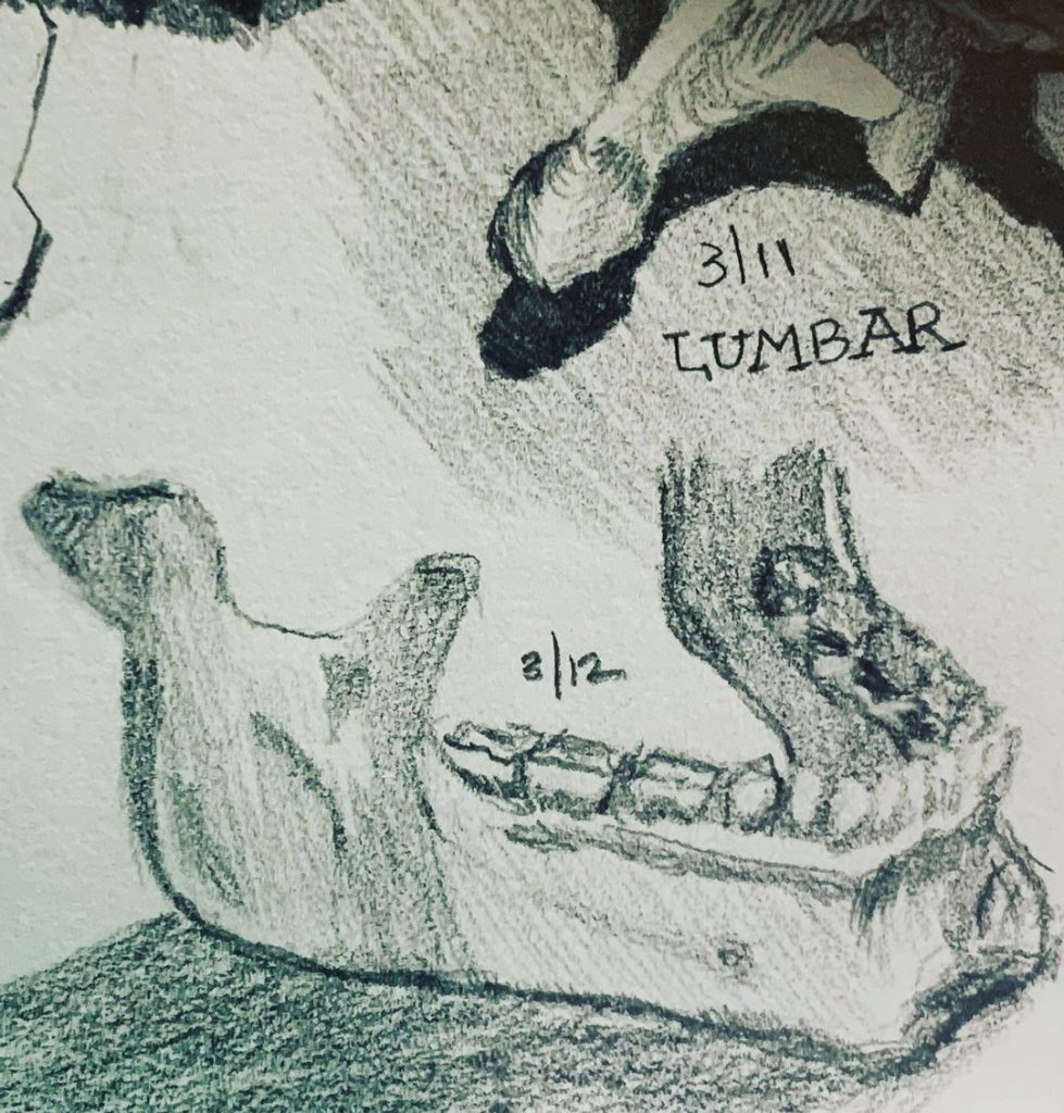 Read more about the article Day 558.