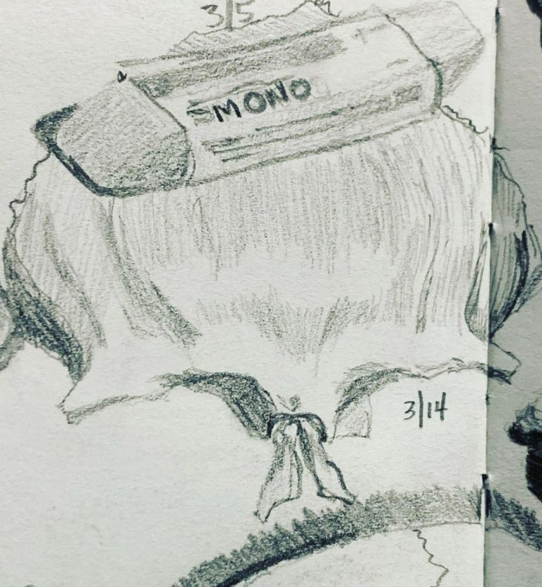 Read more about the article Day 560. Frontal bone, and the left and right nasal bones from an exploding skul