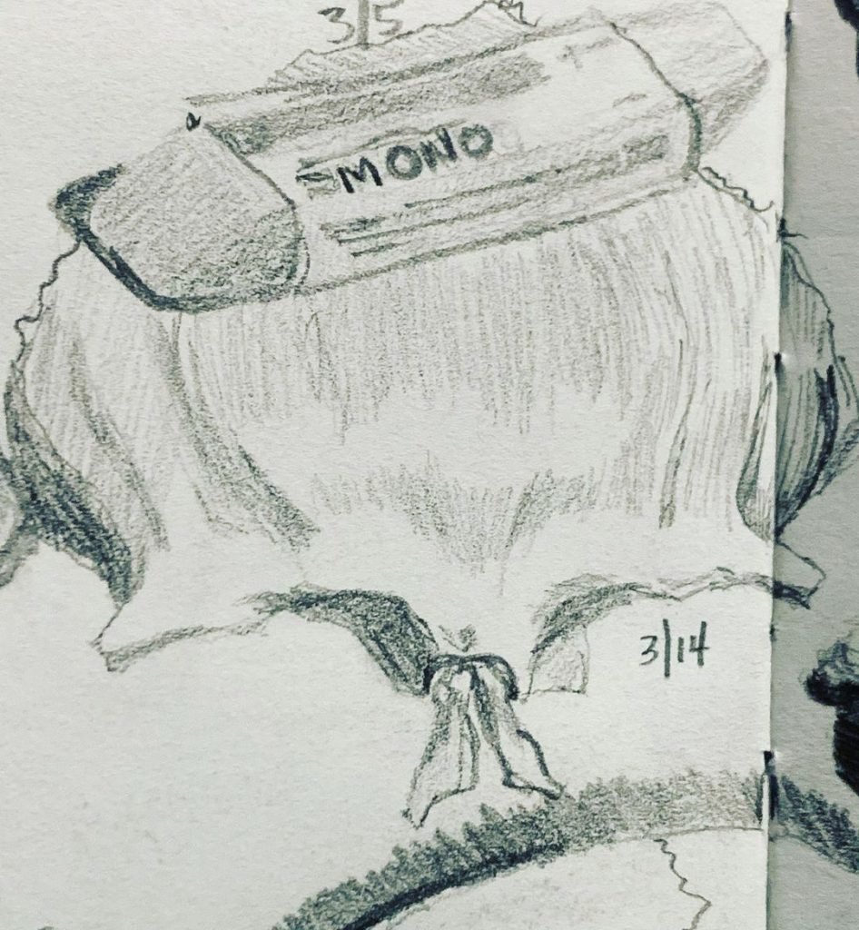 Read more about the article Day 560. Frontal bone, and the left and right nasal bones from an exploding skul