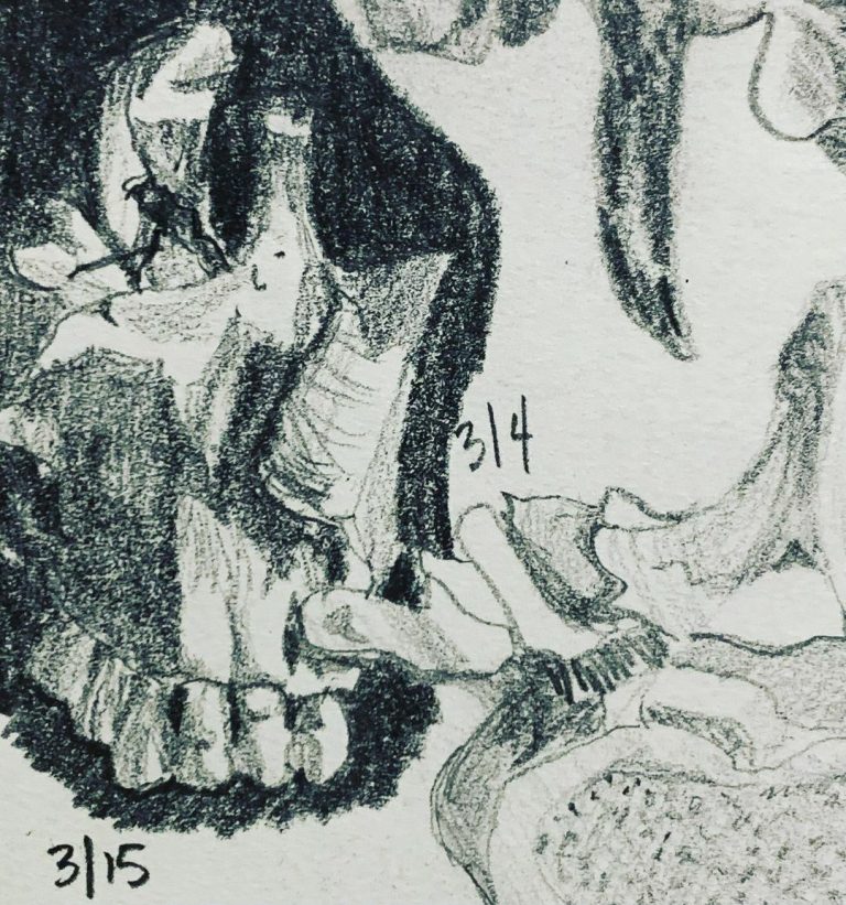 Read more about the article Day 561. Right maxilla.