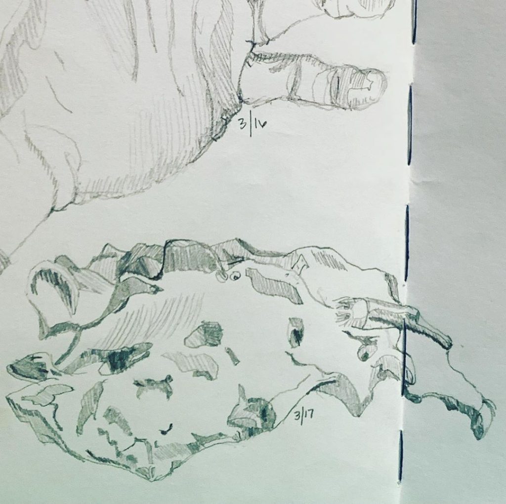 Read more about the article Day 563. Modified NikolaÃ¯des sacrum contour.