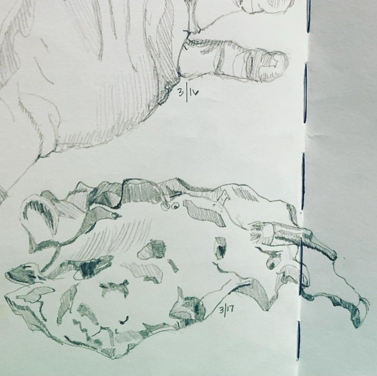 Read more about the article Day 563. Modified NikolaÃ¯des sacrum contour.