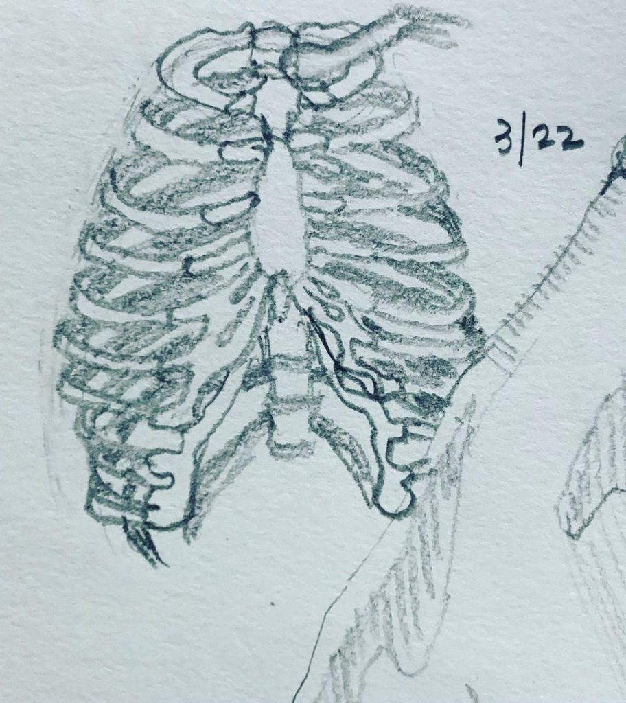 Read more about the article Day 568.