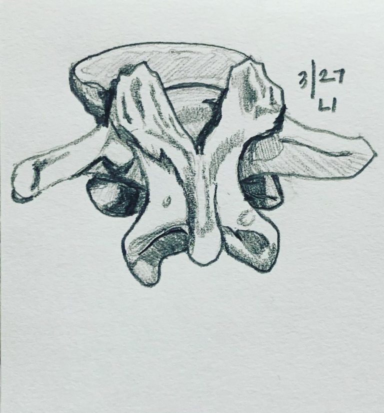 Read more about the article Day 573. L1.