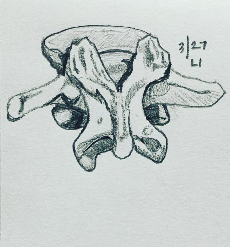 Read more about the article Day 573. L1.