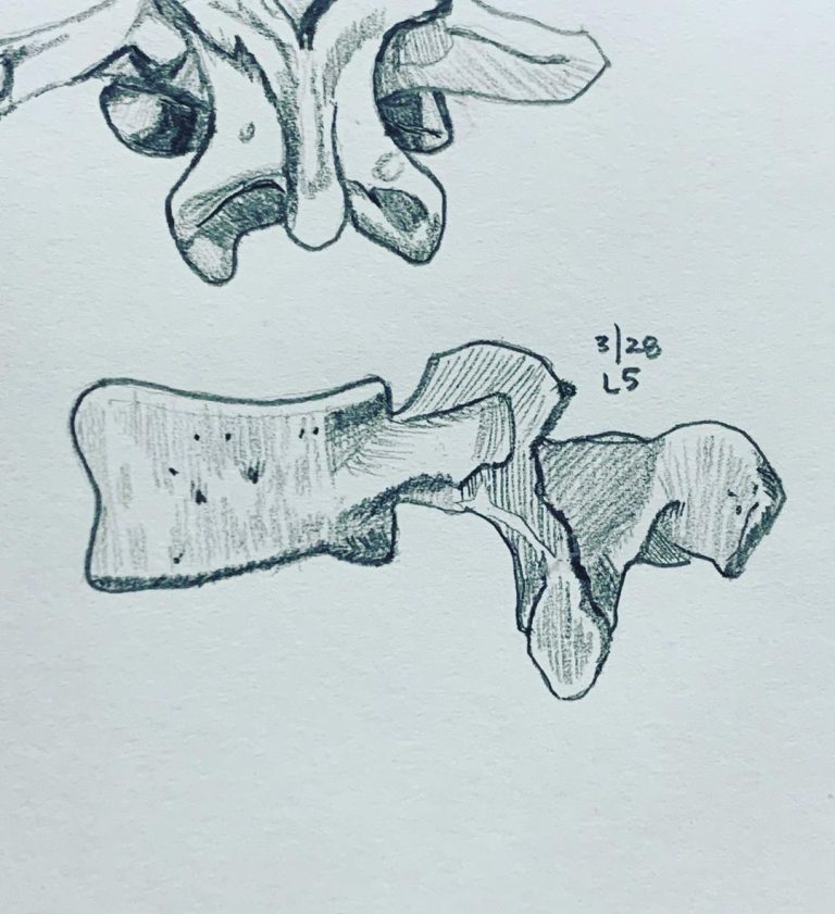 Read more about the article Day 574. L5.