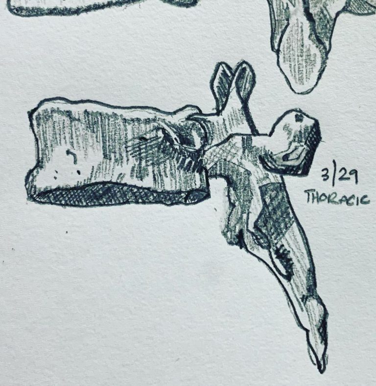 Read more about the article Day 575.