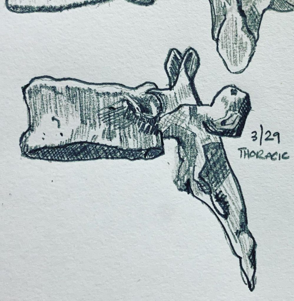 Read more about the article Day 575.