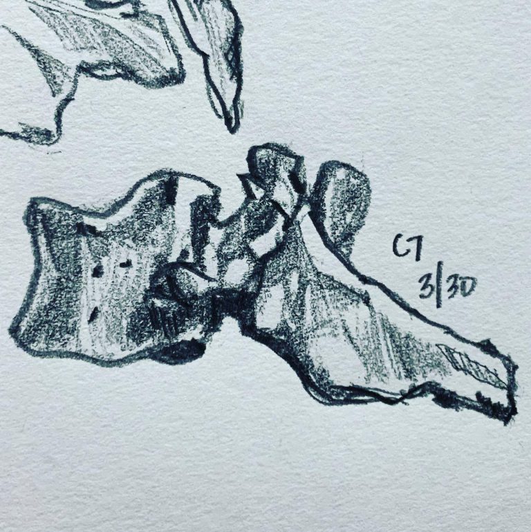 Read more about the article Day 576. C7.