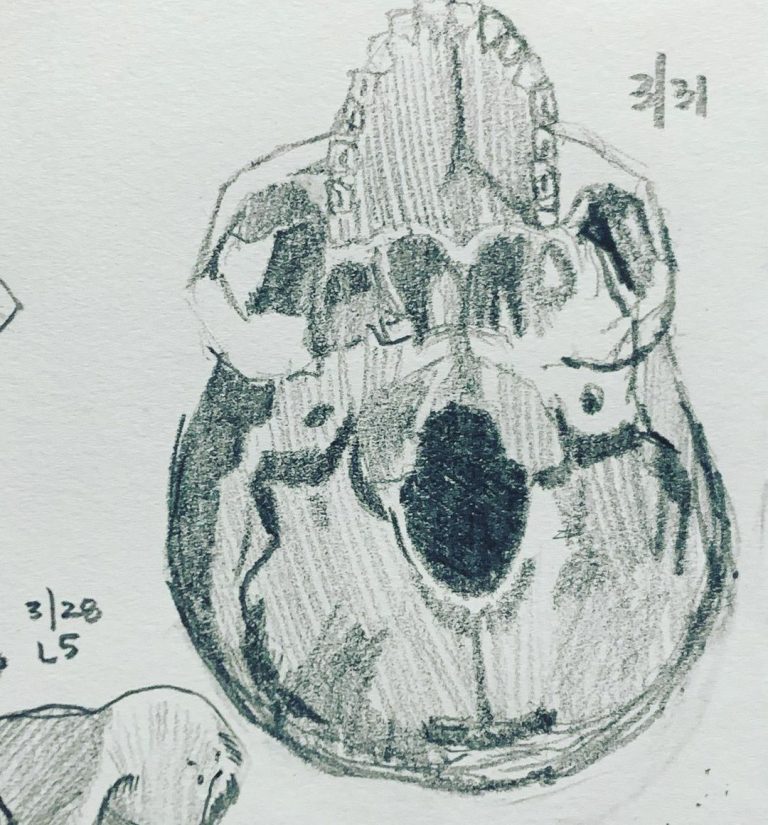 Read more about the article Day 577.