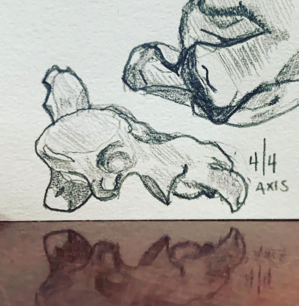 Read more about the article Day 581. Axis.