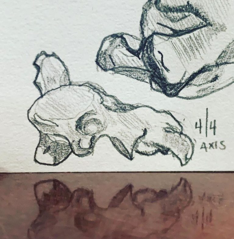 Read more about the article Day 581. Axis.