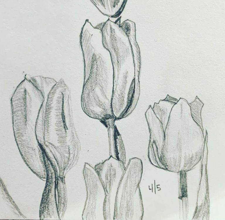 Read more about the article Day 582.