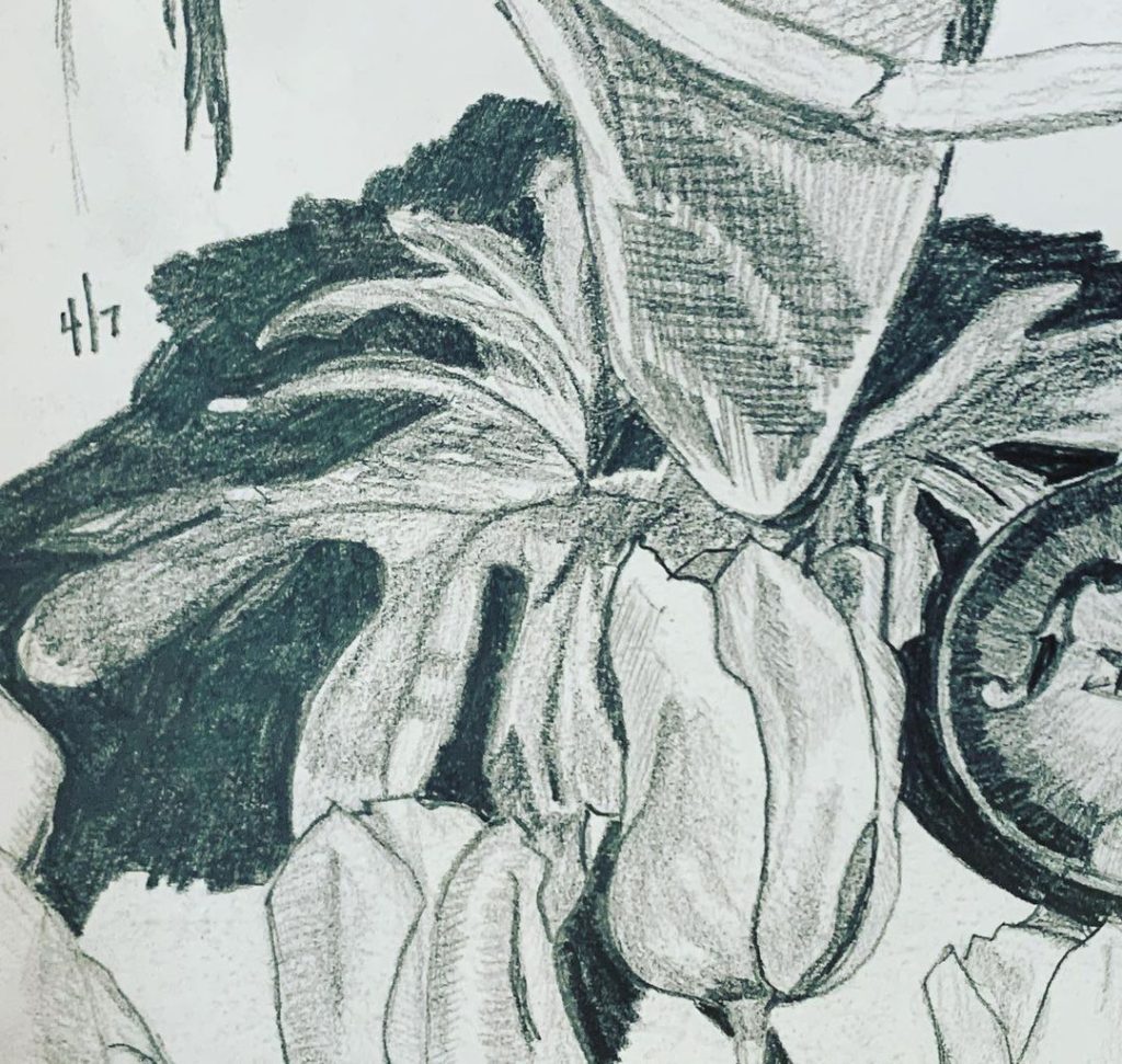 Read more about the article Day 584. Monstera across the way while waiting for car maintenance.