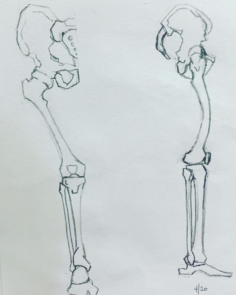 Read more about the article Day 597. Bones in need of muscles.