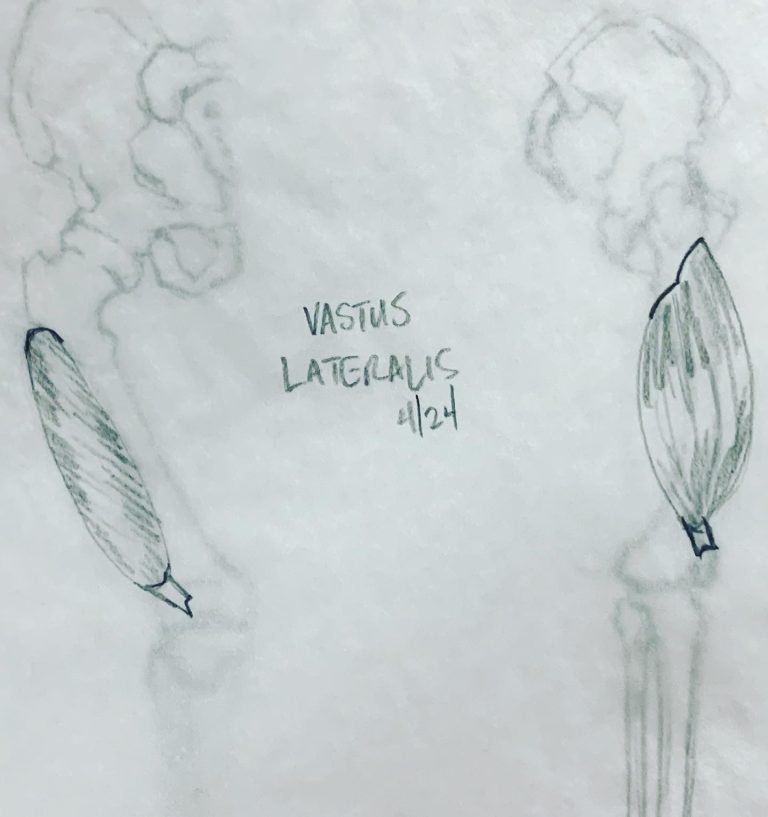 Read more about the article Day 601 part 1. Sub-butt leg musculature.