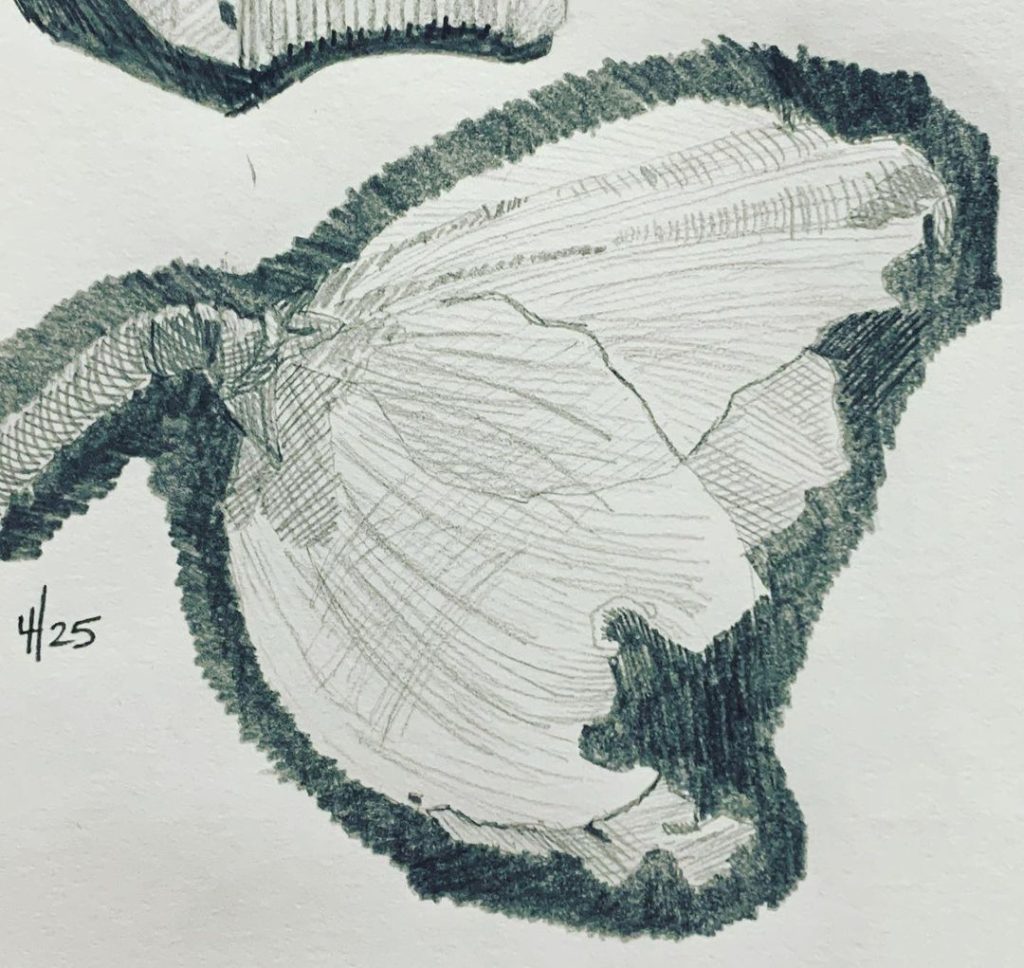 Read more about the article Day 602.