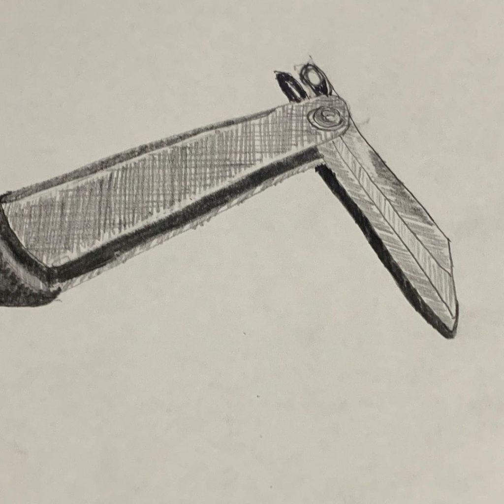 Read more about the article Day 7