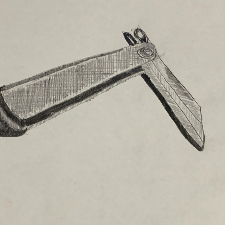 Read more about the article Day 7