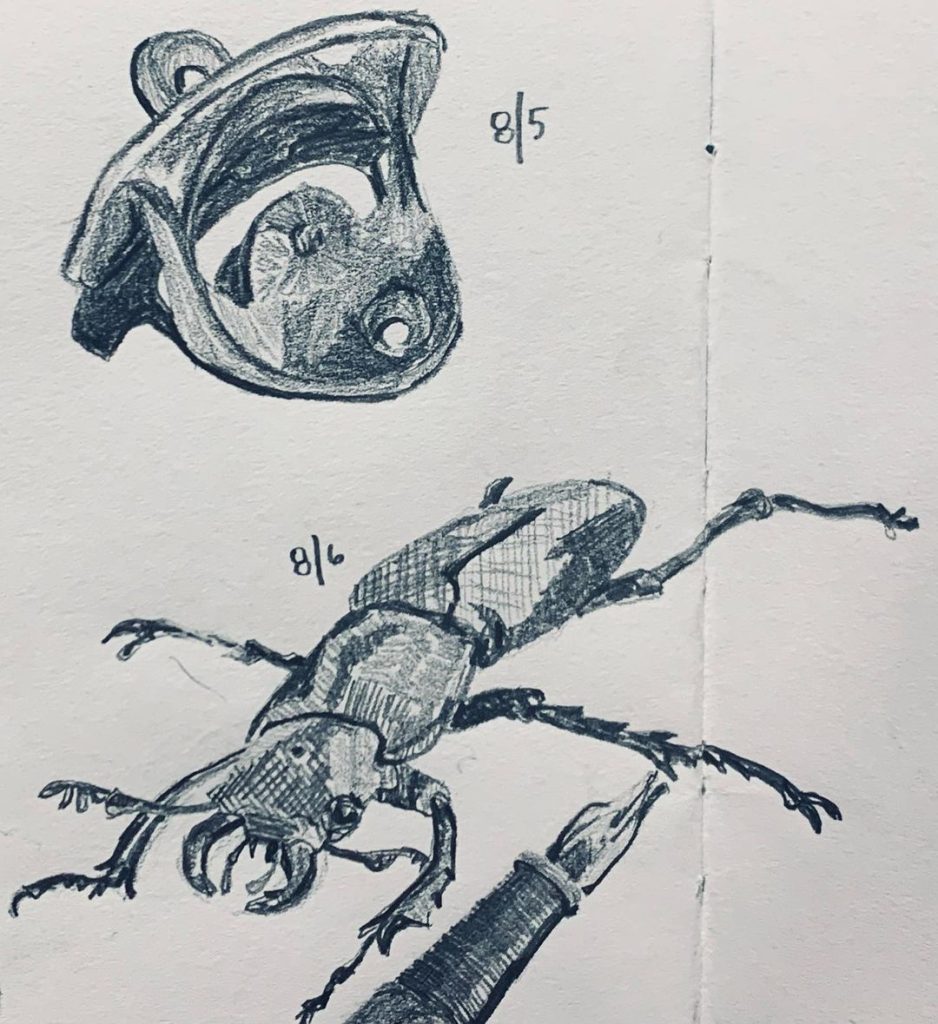 Read more about the article Day 705. I moved to Utah in 1990. This evening was the first time Iâ€™d seen a bee