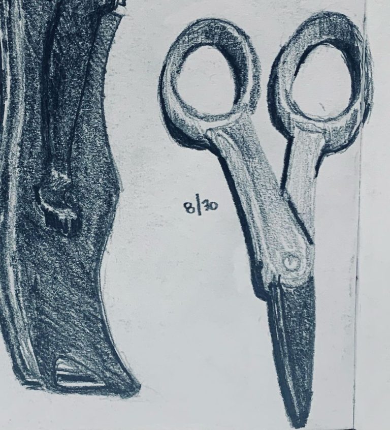 Read more about the article Day 729.