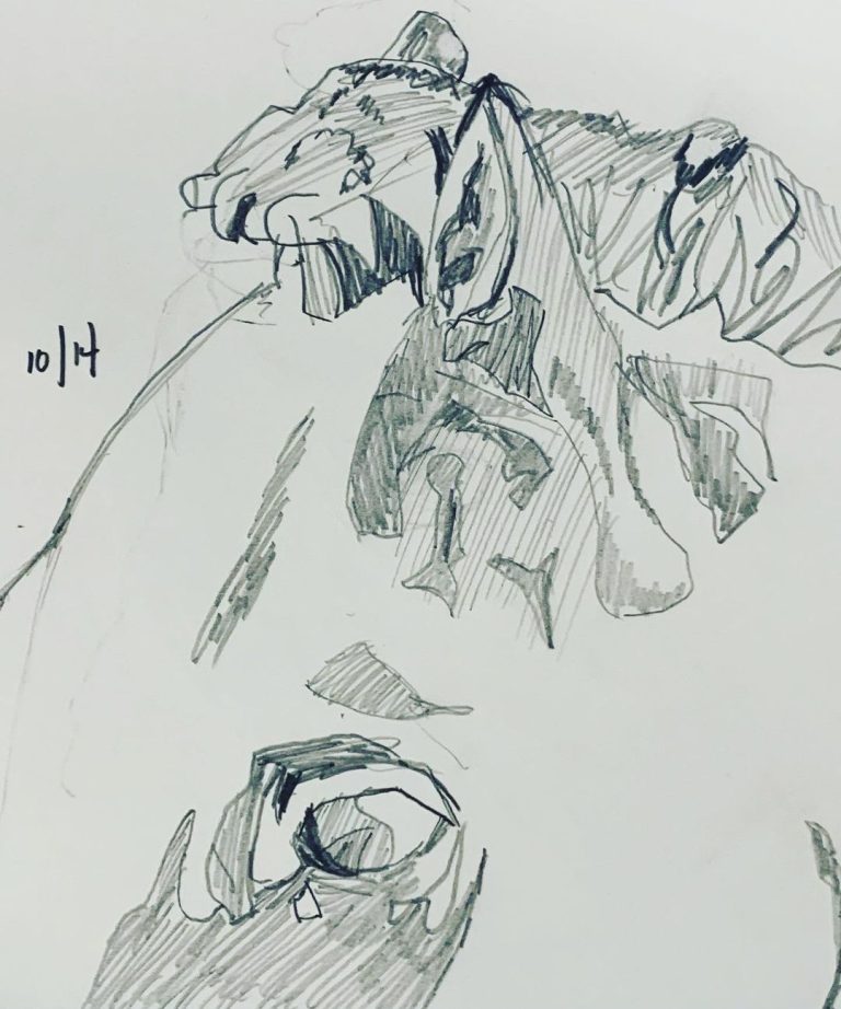 Read more about the article Day 75.